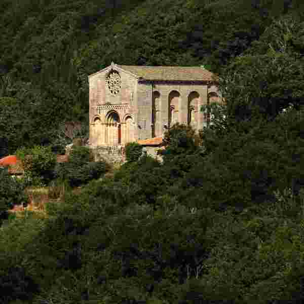 Courses and Workshops