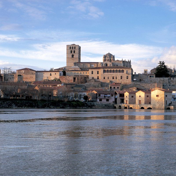 Courses and Workshops