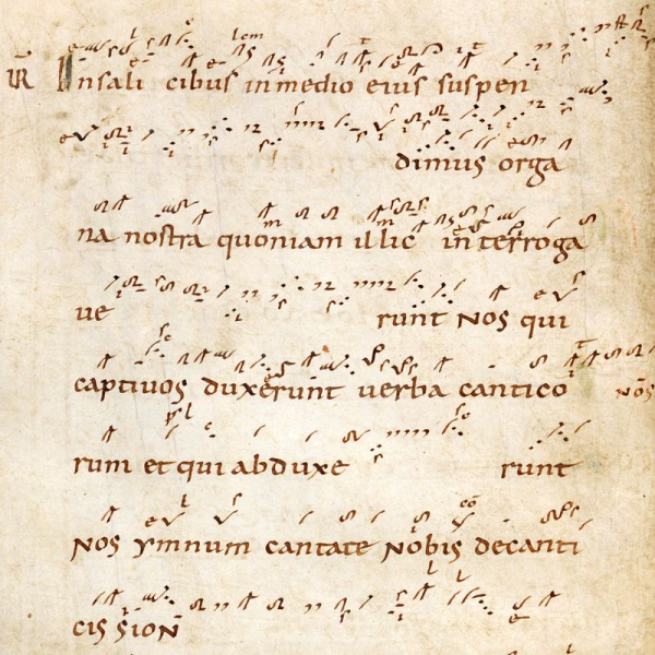 Courses and Workshops