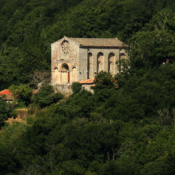 Courses and Workshops