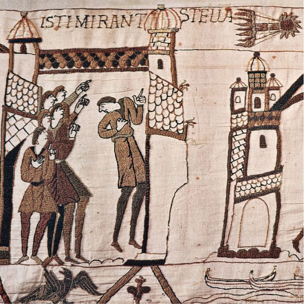 Courses and Workshops