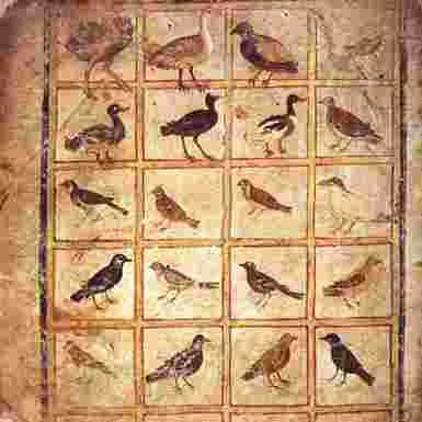 XV Coloquio Ars Mediaevalis  Mimesis y naturalismos en el Arte Medieval