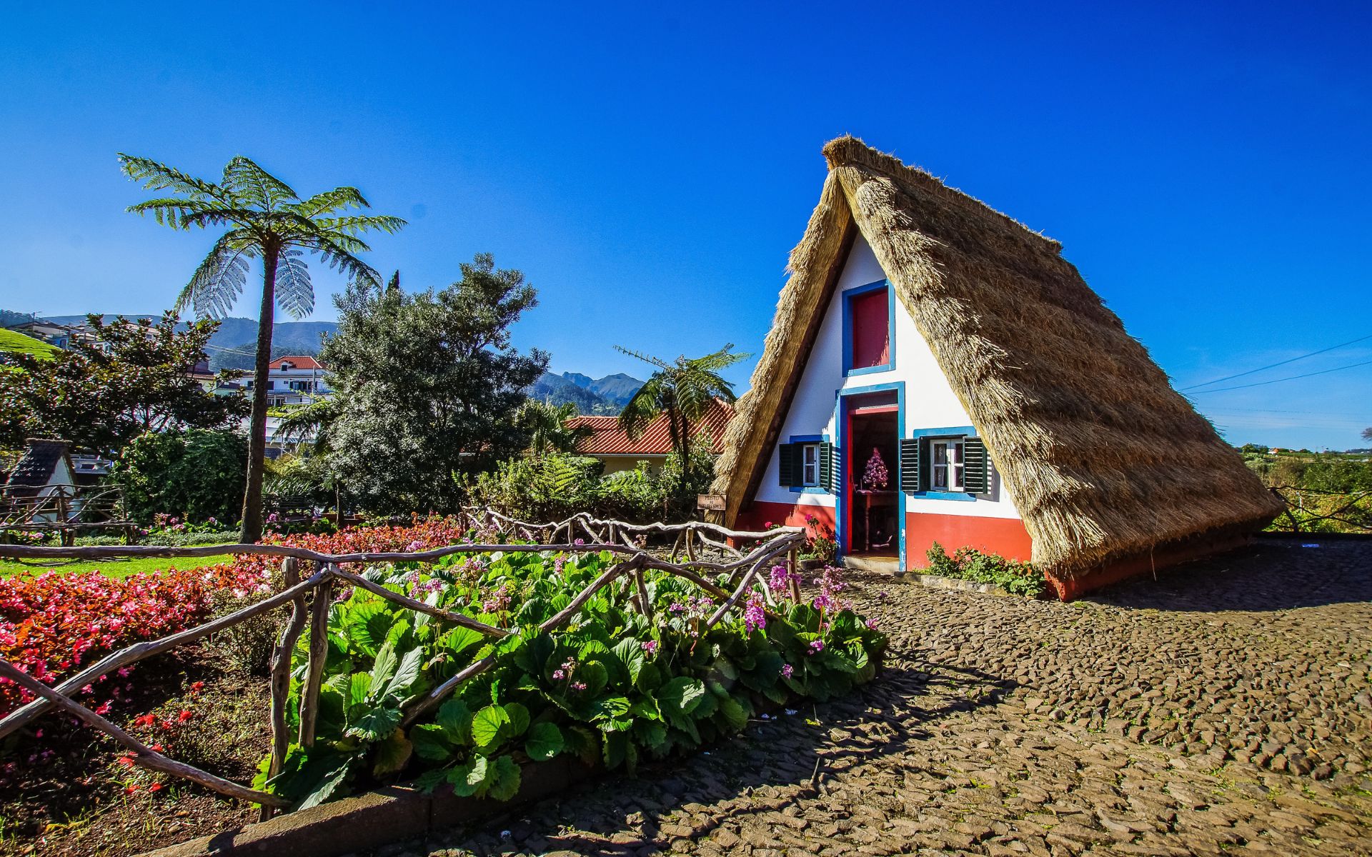 Madeira. La isla de la eterna primavera