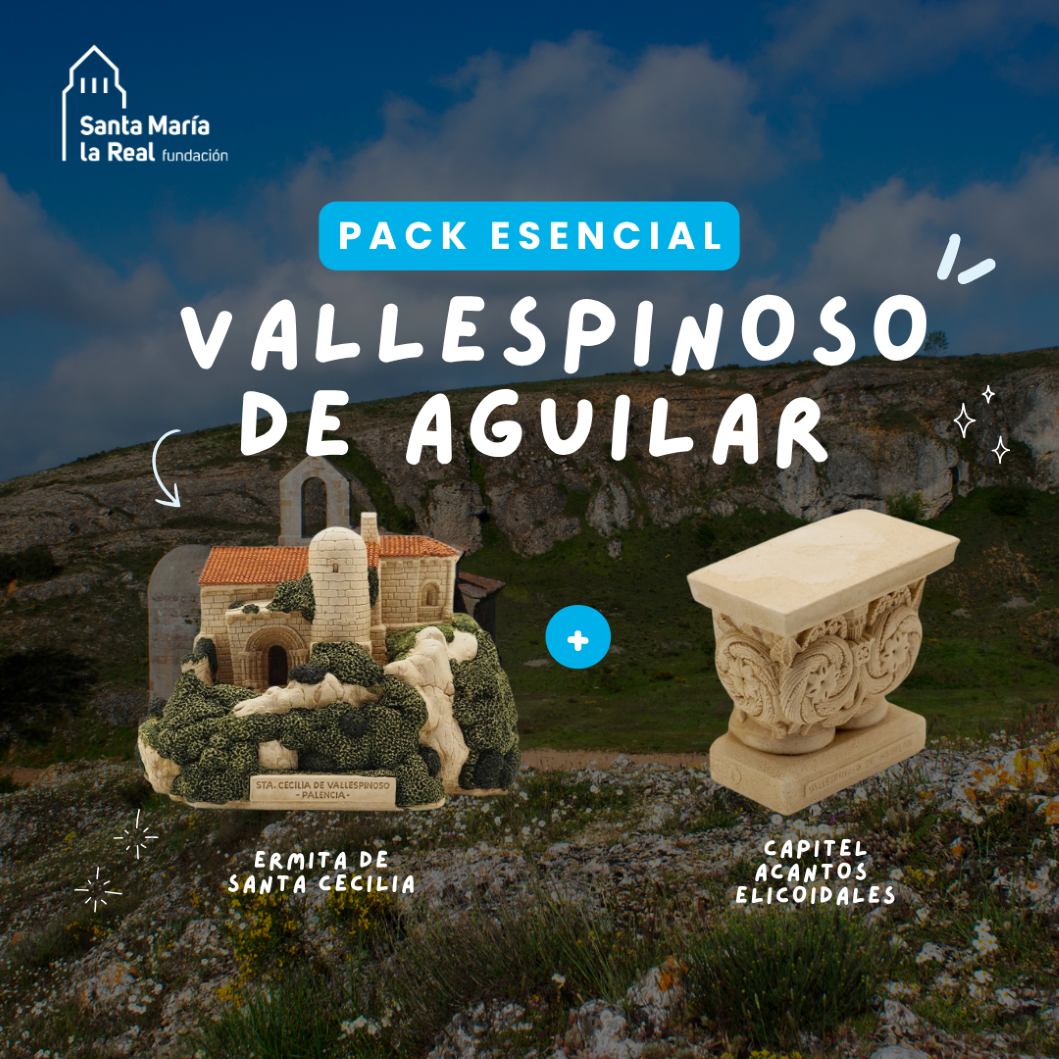Pack Esencial - Vallespinoso de Aguilar